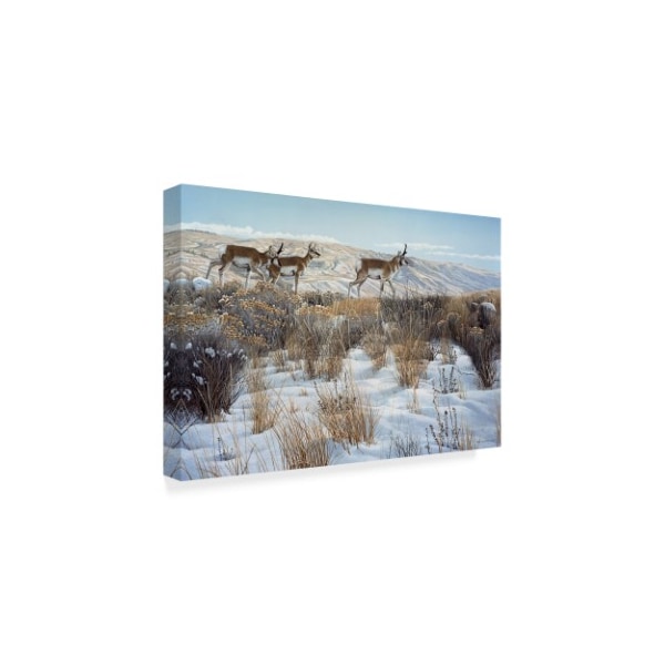 Ron Parker 'Walking The Ridge' Canvas Art,22x32